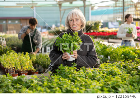 Mature woman choosing mint for her home Mature woman choosing mint for her home 122158446