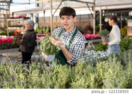 Worker inspecting lavender 122158503
