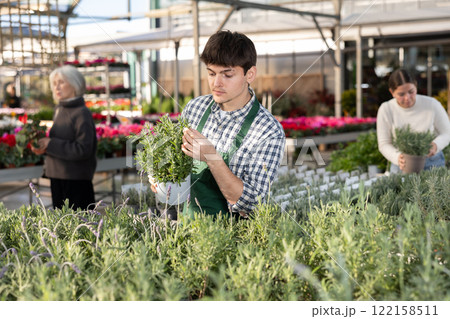 Worker inspecting lavender Worker inspecting lavender 122158511