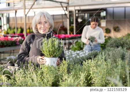 Senior woman buy potted French lavender plant in shop 122158529
