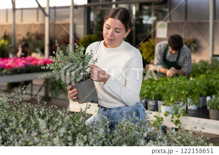 Young woman buy potted decorative Eucaliptus plant in shop 122158651