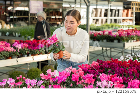Young woman buy potted cyclamen plant in shop Young woman buy potted cyclamen plant in shop 122158679
