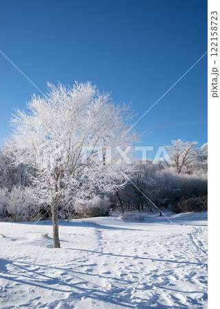 霧氷と青空 霧氷と青空 122158723