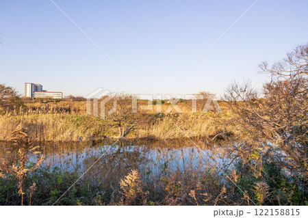 枯れた葦原の中の野鳥のサンクチュアリ 浸透実験池跡 122158815