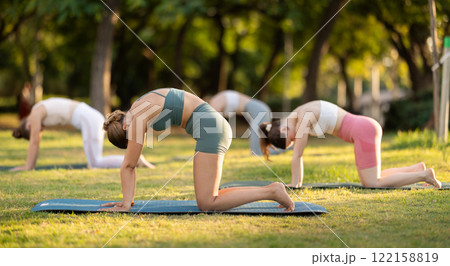 Group of young women doing yoga in cat pose Group of young women doing yoga in cat pose 122158819