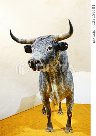 スペイン、セビリアの闘牛 スペイン、セビリアの闘牛 122159581