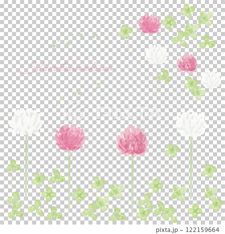 シロツメクサの手描き水彩画イラスト 122159664