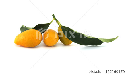 Fresh Kumquats with Green Leaves Isolated on a White Background 122160170