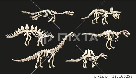 Dinosaur skeleton fossil of Jurassic lizards and prehistoric reptiles, cartoon vector. Prehistoric dinosaur skeletons fossil icons for kids dino atlas or paleontology museum and encyclopedia book 122160253