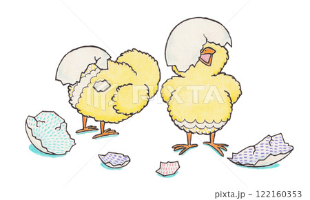 卵から孵ったひな鳥のイラスト 122160353