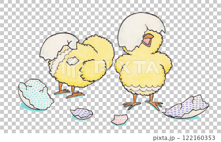卵から孵ったひな鳥のイラスト 122160353