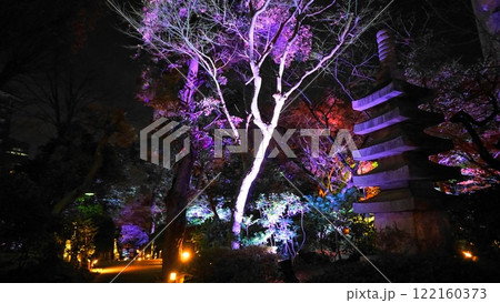 ファンタスティックな夜の日本庭園の世界 122160373
