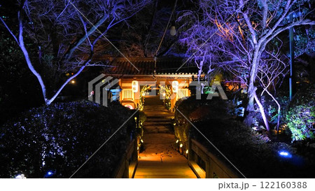 ファンタスティックな夜の日本庭園の世界 122160388