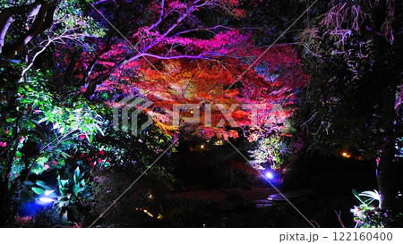 ファンタスティックな夜の日本庭園の世界 122160400
