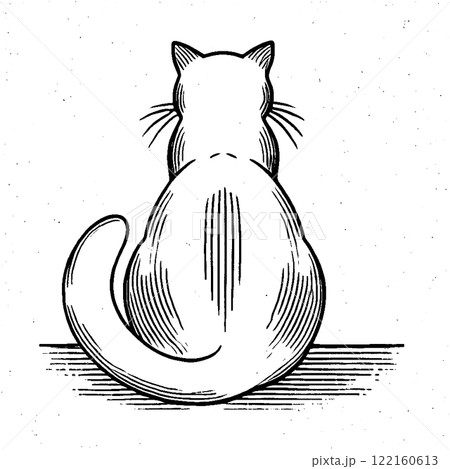猫の背中 122160613