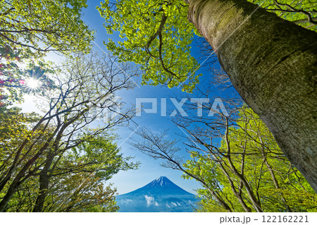 新緑の三方分山から見る富士山 122162221