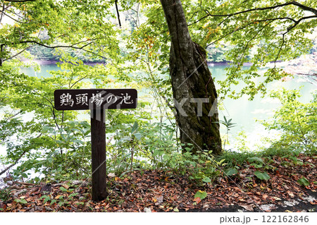 津軽十二湖自然休養林の散策コースに設置されている鶏頭場の池の看板 奥に池を望む 122162846