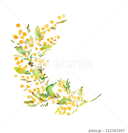 手描きのミモザイラスト。水彩タッチのミモザベクターイラスト。ミモザの春フレーム背景。 122163167