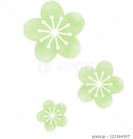 緑のふんわりした桜のイラスト 緑のふんわりした桜のイラスト 122164307