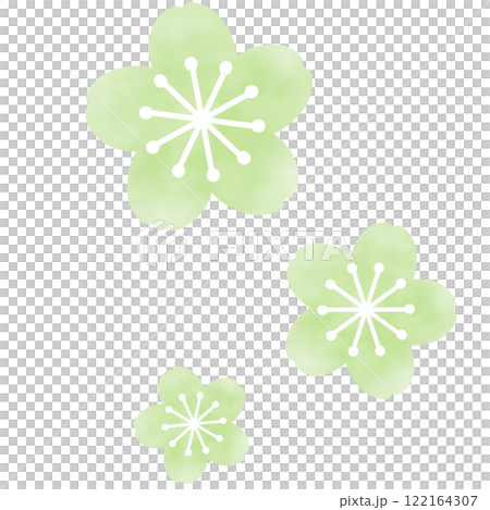 緑のふんわりした桜のイラスト 緑のふんわりした桜のイラスト 122164307