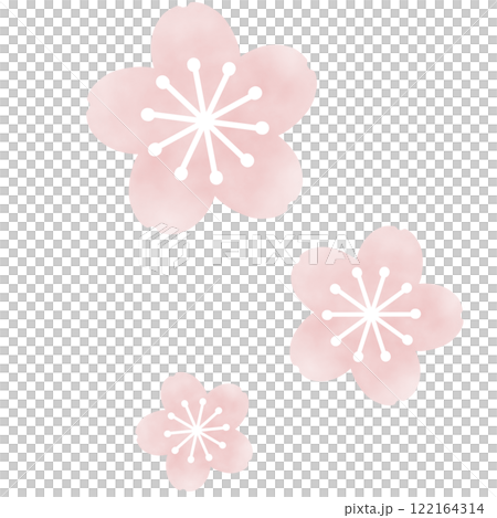 淺粉紅蓬鬆櫻花插畫 122164314