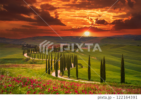 Tuscany, Italy. Sunset with typical Tuscan landscape, rows of cypress trees in spring season, sunset colored nature. 122164391