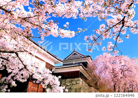 上田城跡公園の桜 122164946