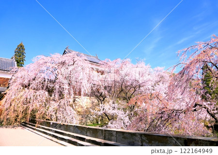 上田城跡公園の桜 122164949