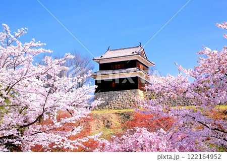 上田城跡公園の桜 122164952