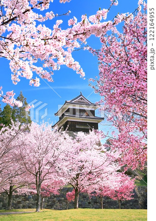 上田城跡公園の桜 122164955