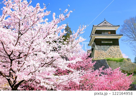 上田城跡公園の桜 122164958