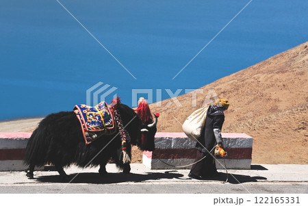 Tibetan woman in national clothes with her yak on the mountains Tibetan woman in national clothes with her yak on the mountains 122165331