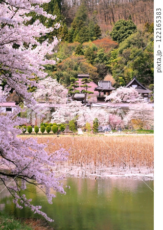 大雲寺の桜 122165383