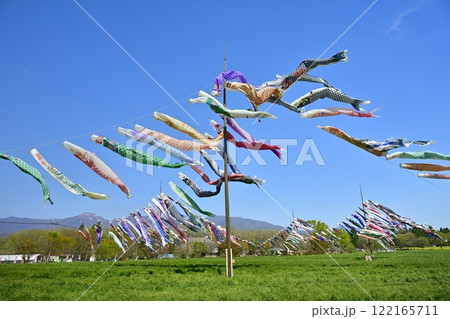 鯉のぼりに那須連山 122165711