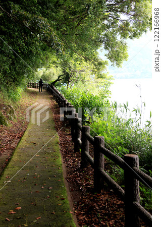長崎県雲仙市 おしどり池の遊歩道の景色 長崎県雲仙市 おしどり池の遊歩道の景色 122166968