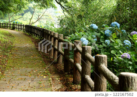長崎県雲仙市　おしどりの池の遊歩道の景色 122167502