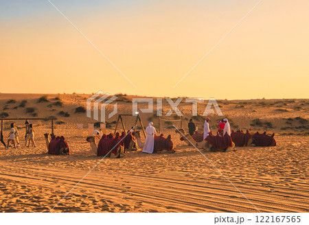 UAEの砂漠地帯のオアシスの景観 122167565