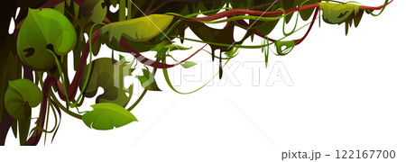 Liana vine border isolated on white 122167700