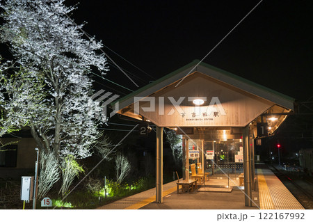 夜の下吉田駅　駅のホームの待合室とライトアップされた桜【山梨県・富士吉田市】 122167992