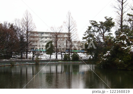 冬の武蔵関公園と西武新宿線（東京都練馬区／西東京市） 122168819