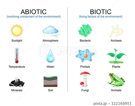 Biotic living factors and abiotic nonliving components of the environment. 122168951