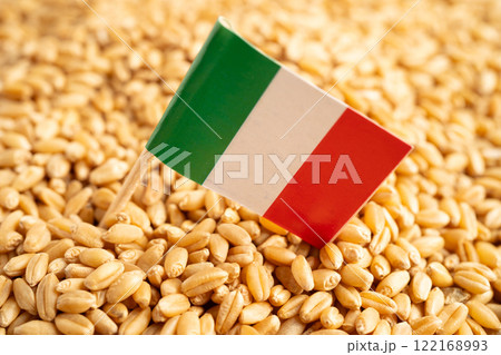 Grains wheat with Italy flag, trade export and economy. Grains wheat with Italy flag, trade export and economy. 122168993