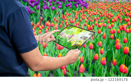 Engineer work with assistant robotic gardener in tulip field 122169178