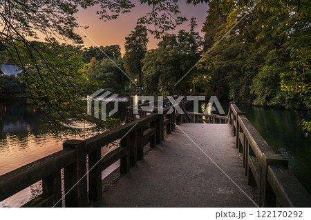 井の頭恩賜公園の夕景 井の頭池に架かる弁天橋【東京都・武蔵野市-三鷹市】 井の頭恩賜公園の夕景 井の頭池に架かる弁天橋【東京都・武蔵野市-三鷹市】 122170292