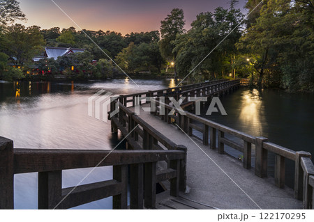 井の頭恩賜公園の夕景【東京都・武蔵野市-三鷹市】 井の頭恩賜公園の夕景【東京都・武蔵野市-三鷹市】 122170295