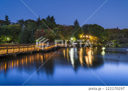 井の頭恩賜公園の夜景 ライトアップされた七井橋【東京都・武蔵野市-三鷹市】 井の頭恩賜公園の夜景 ライトアップされた七井橋【東京都・武蔵野市-三鷹市】 122170297