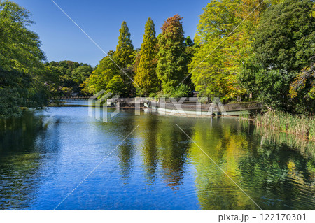 初秋の「井の頭恩賜公園」の自然風景【東京都・武蔵野市－三鷹市】 122170301