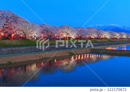 【富山県】あさひ舟川べりの満開の夜桜と北アルプスのシンメトリー 【富山県】あさひ舟川べりの満開の夜桜と北アルプスのシンメトリー 122170672