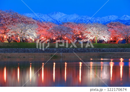 【富山県】あさひ舟川べりの満開の夜桜と北アルプスのシンメトリー 122170674