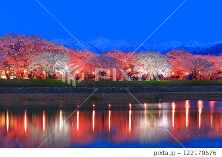 【富山県】あさひ舟川べりの満開の夜桜と北アルプスのシンメトリー 122170676